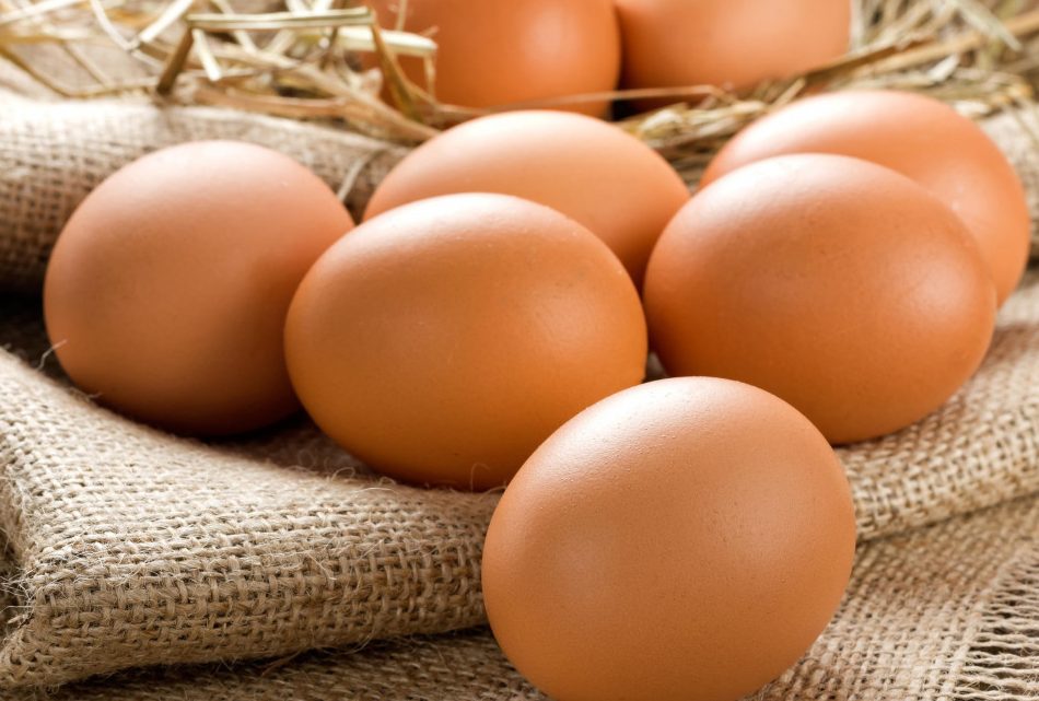 Les œufs.. ce que vous devez savoir